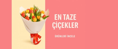 Doğum Günü Sürprizi